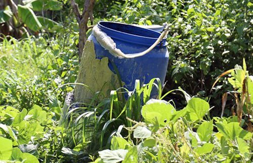 Nạn nhân bị đổ bê tông nhảy lầu trốn trước khi chết