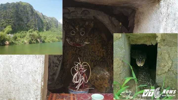 Bí ẩn vườn 'quýt trời' chim không dám ăn quả và huyệt đạo Đế Vương