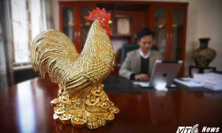 Cận cảnh Kỳ Linh Kim Kê khiến đại gia 'điên đảo' săn lùng dịp Tết Đinh Dậu 2017