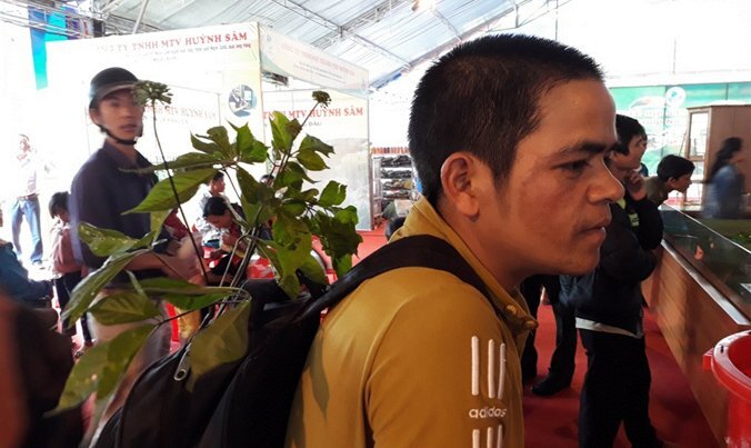 Về thủ phủ sâm Ngọc Linh, nơi đại gia chê tiền lẻ vì cõng lên núi mỏi vai