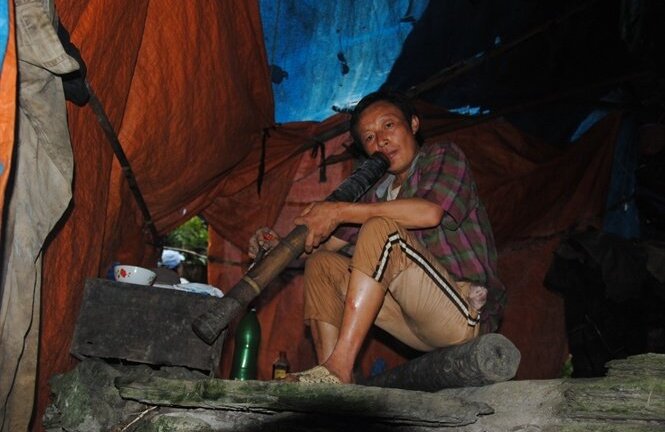 Dị nhân sống trong hang đá như người rừng để trồng cây thuốc quý