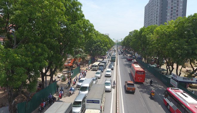 Ngày mai, Hà Nội di dời gần 1.300 cây xanh trên đường Phạm Văn Đồng