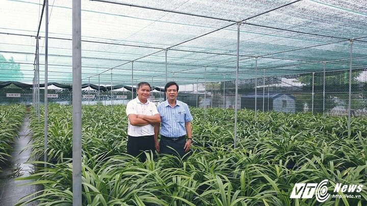 Ngắm vườn địa lan Hoàng Vũ được xác nhận kỷ lục của 'lão nông nho nhã' đất Thành Nam