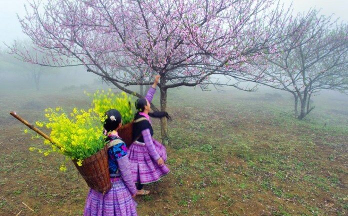 Thời tiết 10 ngày đầu năm mới Mậu Tuất 2018 ra sao?