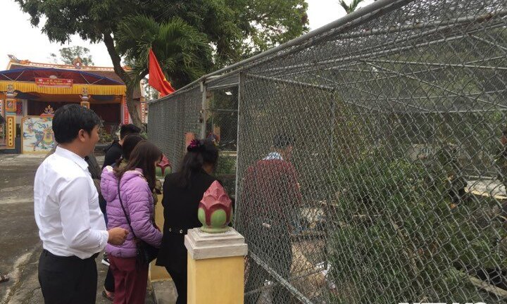 Con trăn 'mắc võng nằm chầu' trong ngôi đền Mẫu ở Nam Định giờ ra sao?