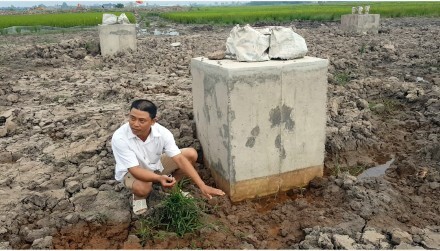 Trụ điện làm bằng bê tông trộn đất: Kỷ luật hàng loạt cán bộ
