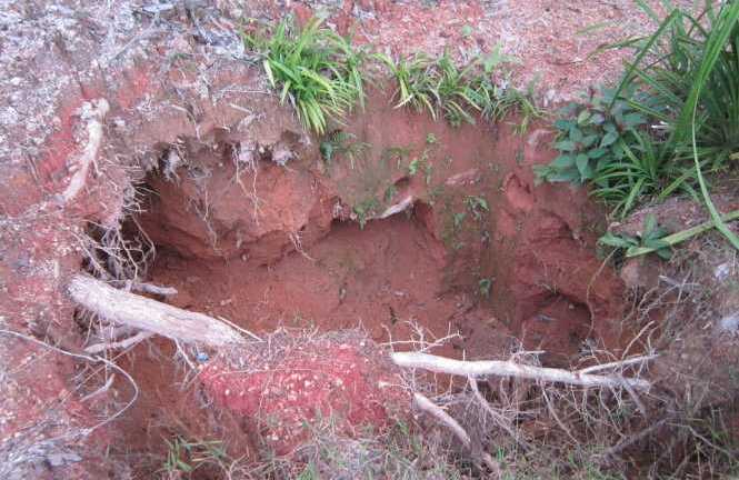 Ba phu vàng bị ngạt khí độc, mắc kẹt trong hang sâu