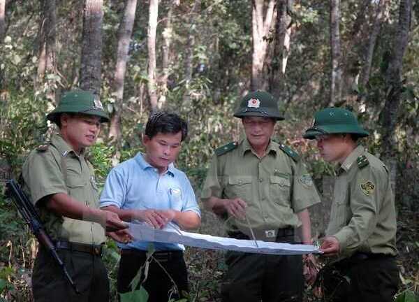 Cán bộ Vườn quốc gia Núi Chúa bị đâm chết