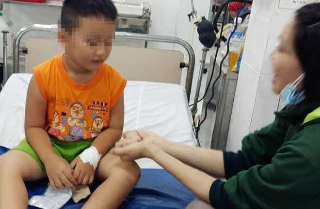 Mẹ ép 2 con uống thuốc trừ sâu rồi tự tử