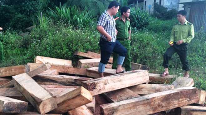 Gỗ pơmu tập kết sát trạm biên phòng: Lãnh đạo bất ngờ