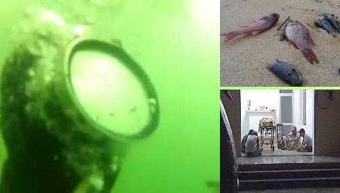 Kết luận nguyên nhân cái chết của thợ lặn Formosa