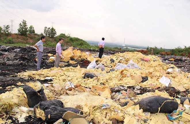 Vật nuôi chết chóc, bốc mùi nồng nặc bên bãi rác nghi đổ hóa chất