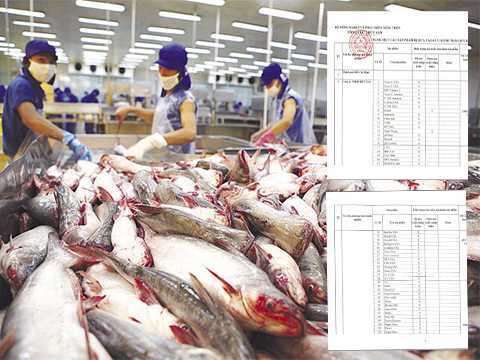 Doanh nghiệp nào được cấp ‘khống’ giấy phép lưu hành thuỷ sản?