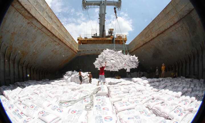 20.000 USD cho một giấy phép xuất khẩu gạo: Chỉ là thông tin bịa đặt