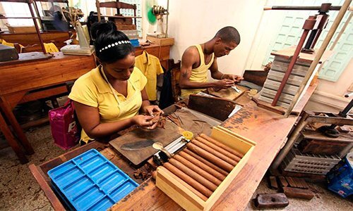 Bí mật cigar Cuba qua con mắt người 'trong cuộc'
