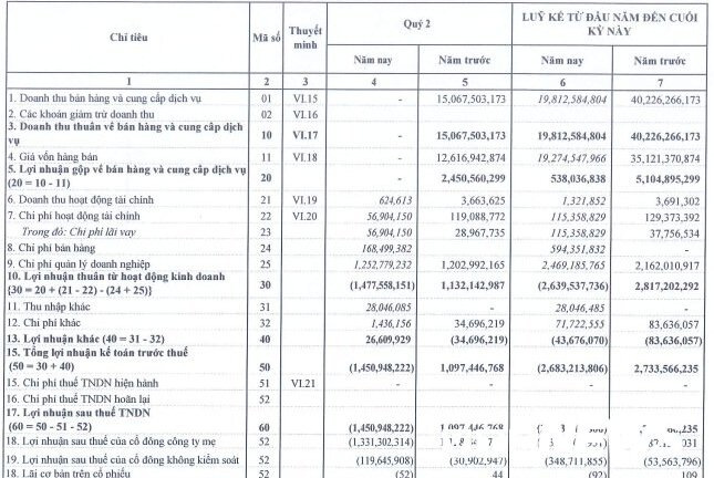 Doanh nghiệp không doanh thu, âm lợi nhuận