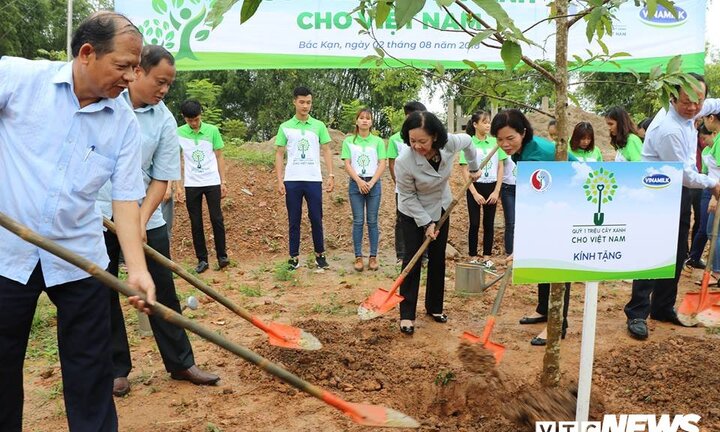 Trồng mới 100 nghìn cây xanh tại Bắc Kạn