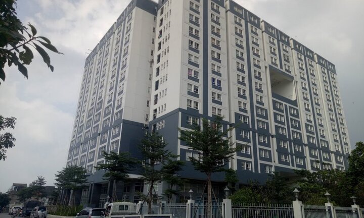 Thanh tra ra tiền tỷ tại hai doanh nghiệp địa ốc