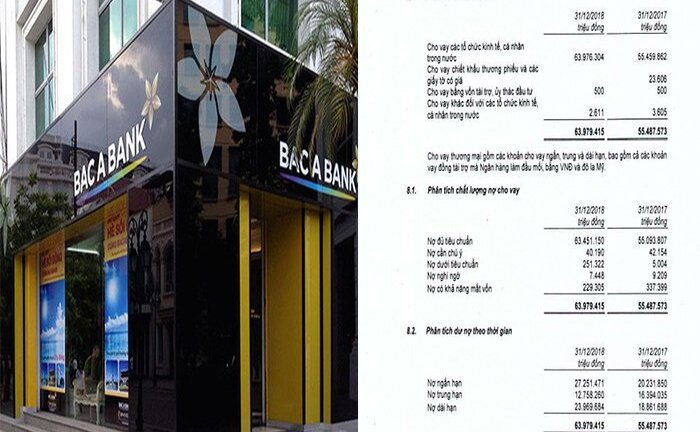 Bắc Á Bank lãi gần 700 tỷ đồng, nợ xấu 0,87%