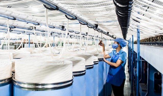 Cổ phiếu FTM giảm sàn phiên thứ 26 liên tiếp, cổ đông choáng váng