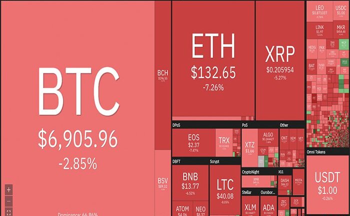 Bitcoin 'cháy rực' giữa ‘biển lửa’ thị trường