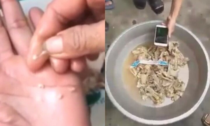 Không còn mẫu thịt lợn nghi nhiễm sán trường mầm non Bắc Ninh để điều tra