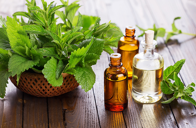 4 cách tự nhiên đuổi muỗi trong mùa hè