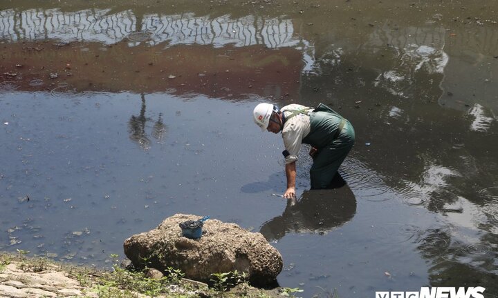 Công bố kết quả làm sạch sông Tô Lịch sau 3 tuần thử nghiệm công nghệ Nhật Bản