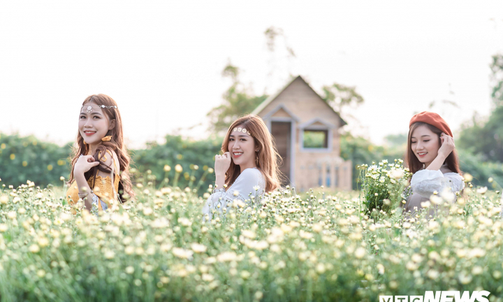 Ảnh: Hotgirl đổ xô đi 'check-in' ở vườn cúc họa mi lớn nhất Hà Nội