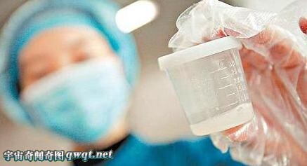 Những hình ảnh ít người biết về quá trình cấy ghép tinh trùng và sự phát triển của thai nhi