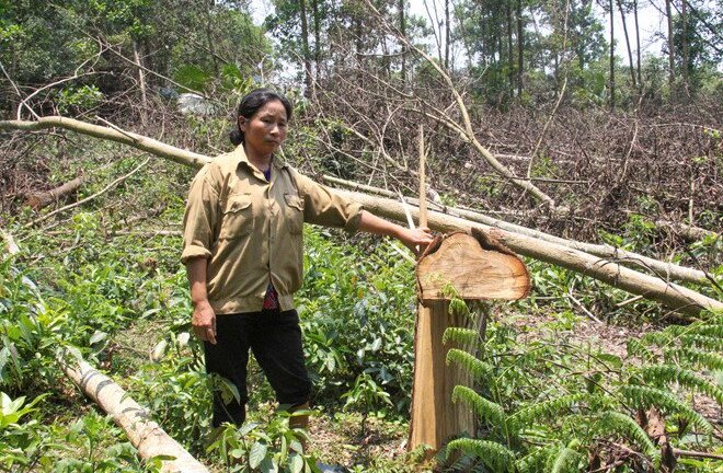 Giao đất chồng chéo, xã giải quyết 10 năm chưa xong