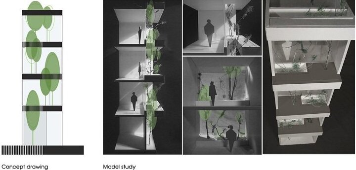 Hướng dẫn cách mang cả 'vườn cây' vào nhà bất chấp không gian chật hẹp