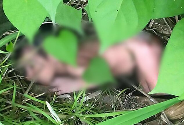 Bé gái bị vứt trong bụi rậm, đầy thương tích: Nghi do bố mẹ thích con trai hơn