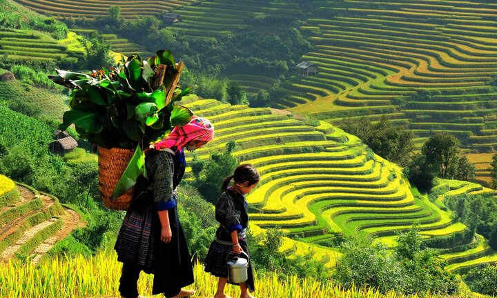 Kinh nghiệm 'xương máu' du lịch Sapa 2/9 bạn nên biết để tránh mất tiền oan