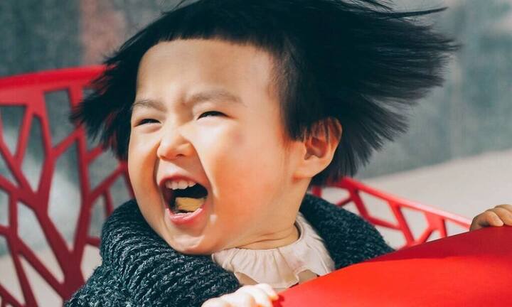 Thánh ăn Tiểu Man tiếp tục làm cư dân mạng 'phát sốt' vì quá sức đáng yêu