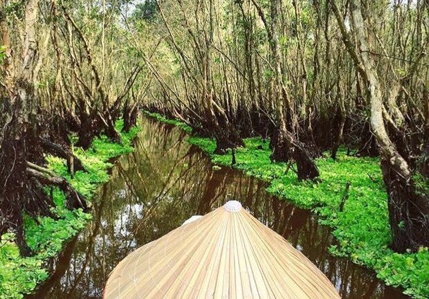 Thu sang, hãy thử trải nghiệm về với miền Tây đón mùa nước nổi