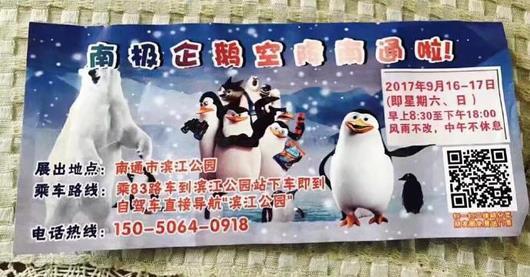 Đến công viên ngắm chim cánh cụt, các em nhỏ tá hỏa vì cái mà người ta trưng bày