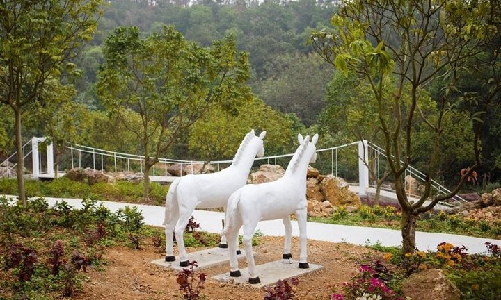 Khám phá khu sinh thái chỉ cách Hà Nội 30km giúp con trẻ trải nghiệm sinh tồn cực thú vị