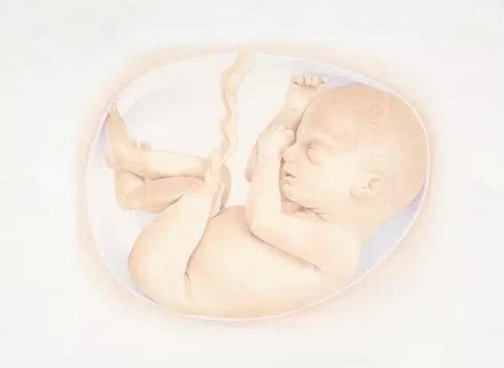 Những trường hợp mẹ tuyệt đối không được sinh thường dù muốn thế nào