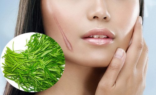Bất ngờ: Rau muống không phải là 'thủ phạm' gây sẹo lồi