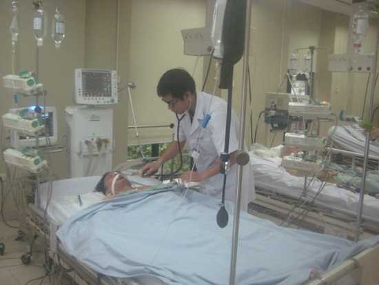 Hà Nội: Cây đổ trong bão số 3, nam thanh niên bị điện giật hôn mê sâu