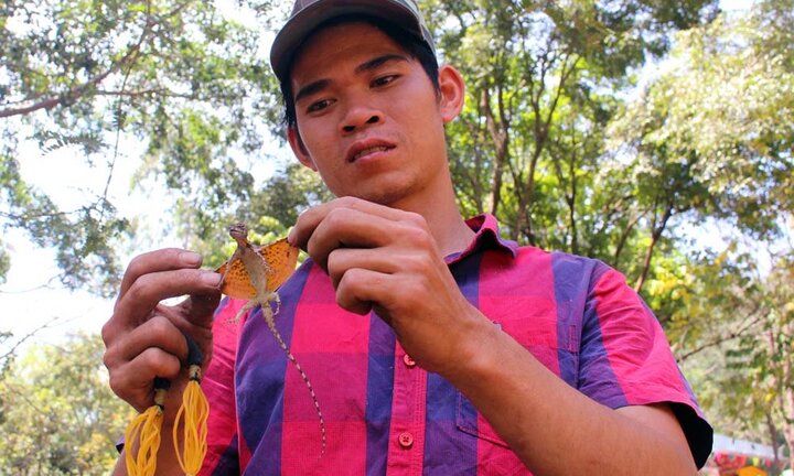 Quý ông lùng mua ‘thần dược phòng the’ có cánh ở miền Tây