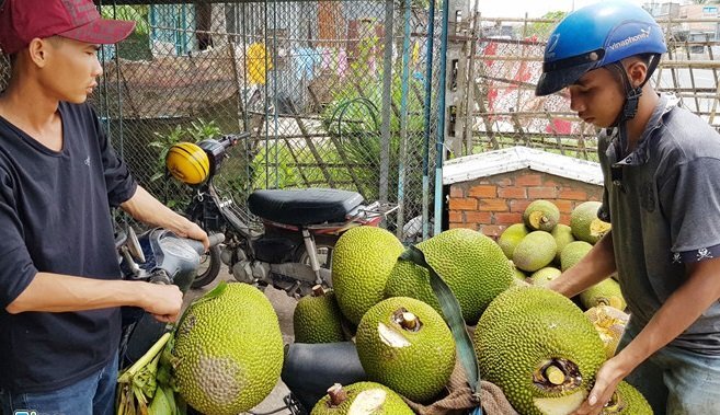 Nhà vườn ở miền Tây bán đổ bán tháo, giá mít rớt thảm