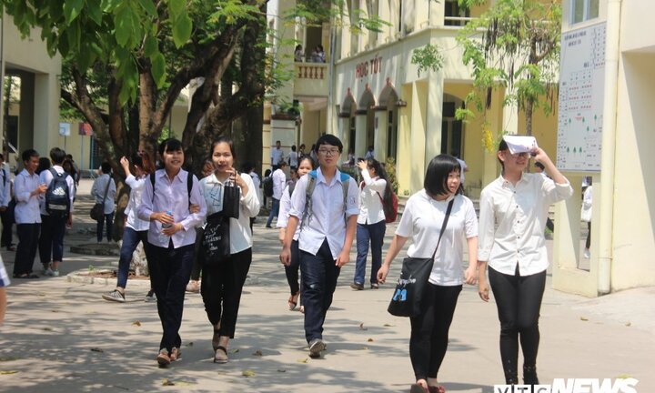 Điểm thi vào lớp 10 ở TP.HCM: Phổ điểm chung trong 2 ngày đầu chấm rất thấp