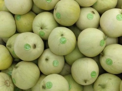 Dưa trong nước ế, mỗi năm Việt Nam vẫn nhập hàng nghìn tấn dưa Trung Quốc