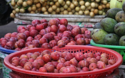 Mận Trung Quốc ồ ạt về chợ Việt Nam