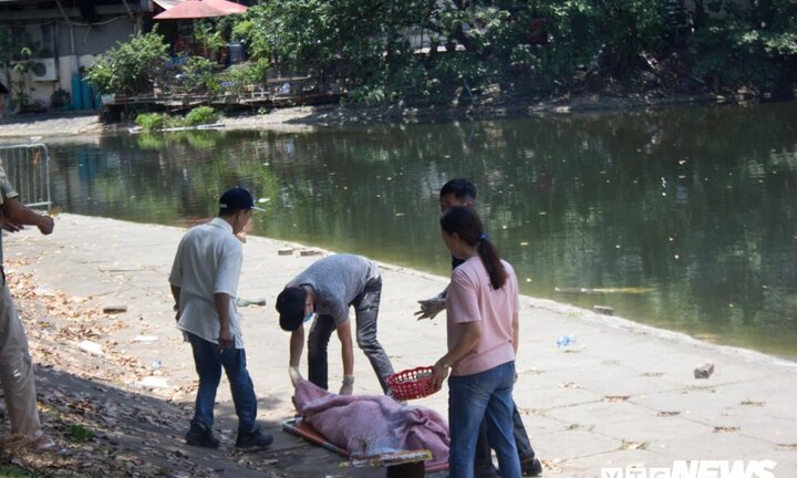 Cứu cháu ngoại, người đàn ông chết đuối ở hồ Thiền Quang, Hà Nội