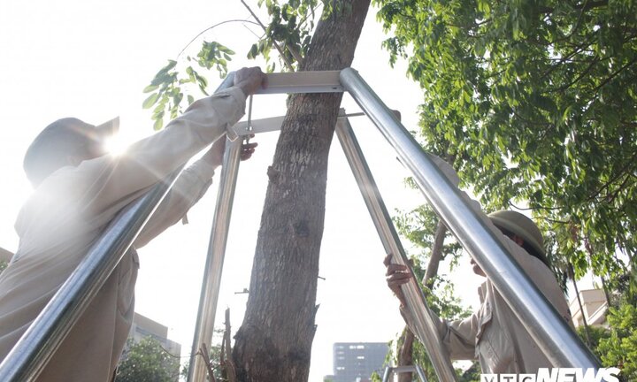 Ảnh: Dưới cái nắng gay gắt, công nhân chăm cây, làm đẹp phố đi bộ Trịnh Công Sơn