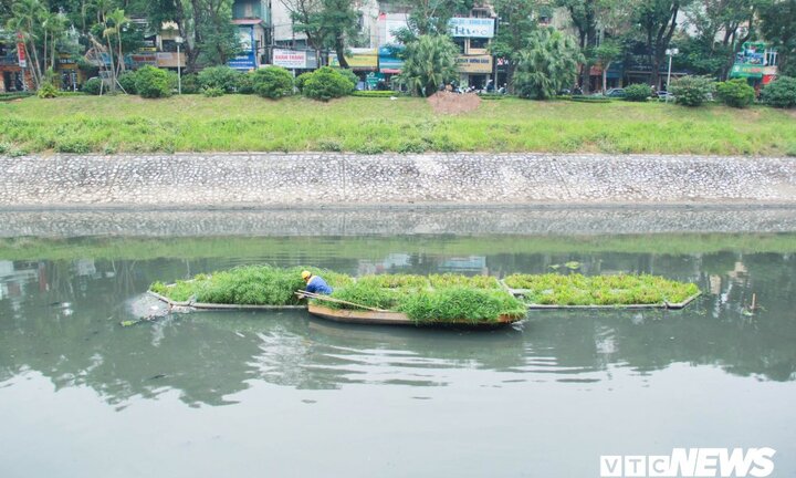 Sau 4 năm thả bè thủy trúc, nước sông Tô Lịch giờ ra sao?