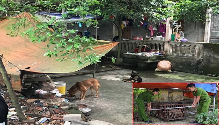 Khởi tố vụ án bé trai 7 tuổi ở Hưng Yên bị đàn chó cắn chết